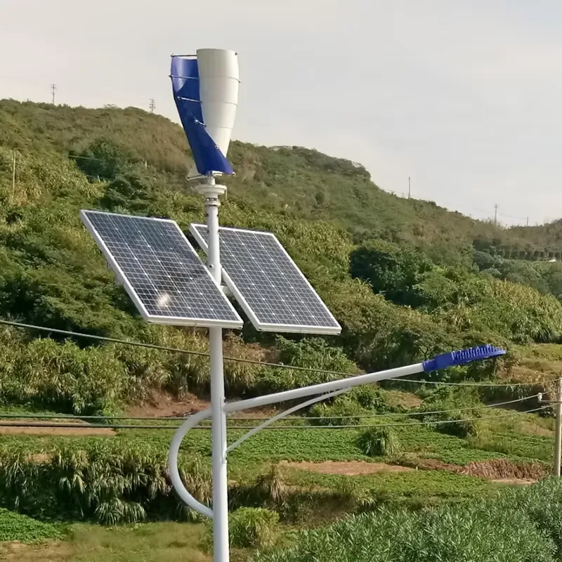 간편 설치 24V 48V 나선형 1kw 수직축 풍력 발 - Renewable Energy Types 리뷰 및 가격